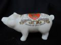 11363 Arcadian Crested China Pig - Arms of Norwich